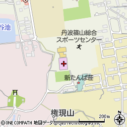 兵庫県丹波篠山市郡家451周辺の地図