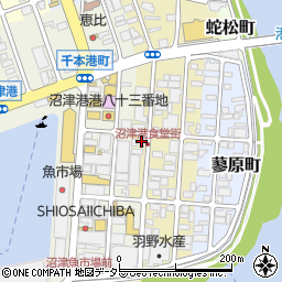 魚がし鮨港店周辺の地図