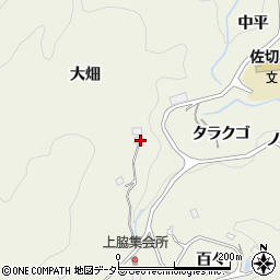 愛知県豊田市上脇町大切周辺の地図