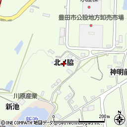 愛知県豊田市高崎町（北ノ脇）周辺の地図