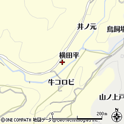 愛知県豊田市国谷町横田平周辺の地図