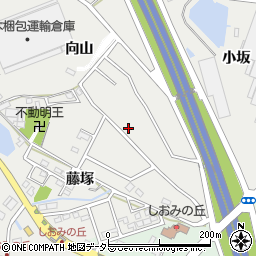 愛知県みよし市莇生町向山周辺の地図