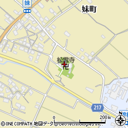松雲寺周辺の地図