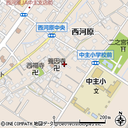 滋賀県野洲市西河原695周辺の地図