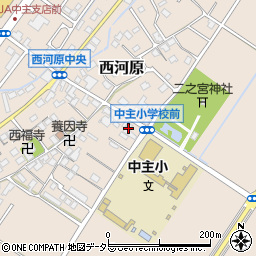 滋賀県野洲市西河原703周辺の地図