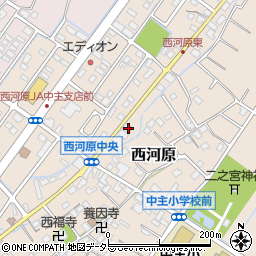 滋賀県野洲市西河原298周辺の地図