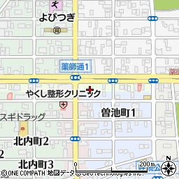 愛知県名古屋市南区薬師通2丁目30周辺の地図