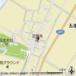 滋賀県野洲市五条301-14周辺の地図