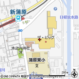 ザ・ビッグ蒲原店周辺の地図