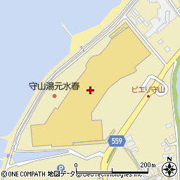 宮脇書店　ピエリ守山店周辺の地図