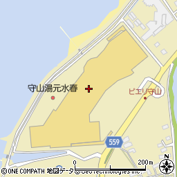 アクアネーム・ピエリ守山店周辺の地図