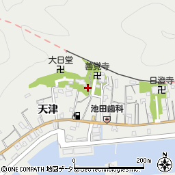 千葉県鴨川市天津1558周辺の地図