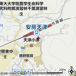 千葉県鴨川市天津1176-1周辺の地図