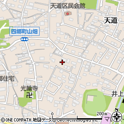 愛知県豊田市四郷町天道45-195周辺の地図