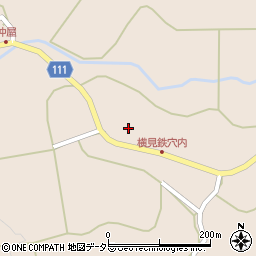 鳥取県日野郡日南町神戸上984-1周辺の地図