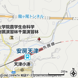 千葉県鴨川市天津794周辺の地図