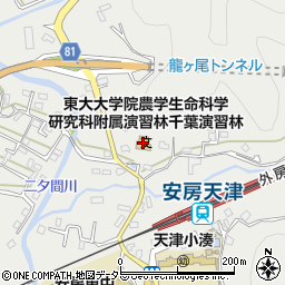 千葉県鴨川市天津770周辺の地図