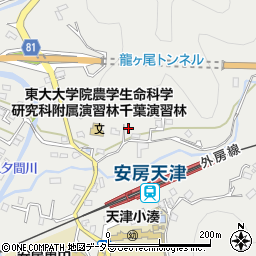 千葉県鴨川市天津775周辺の地図