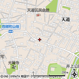 愛知県豊田市四郷町天道45-48周辺の地図