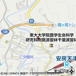 千葉県鴨川市天津737周辺の地図