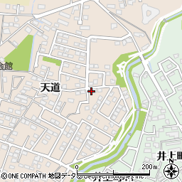 愛知県豊田市四郷町天道99-172周辺の地図