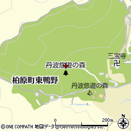 兵庫県丹波市柏原町東鴨野周辺の地図