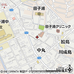 静岡県富士市中丸233周辺の地図