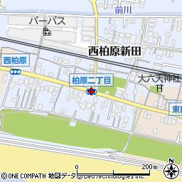 柏原２周辺の地図