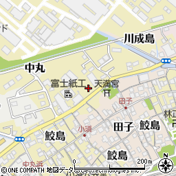 田子浦南郵便局周辺の地図