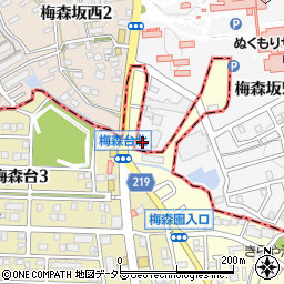 愛知県名古屋市名東区梅森坂5丁目217周辺の地図
