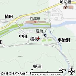 愛知県豊田市足助町横枕周辺の地図