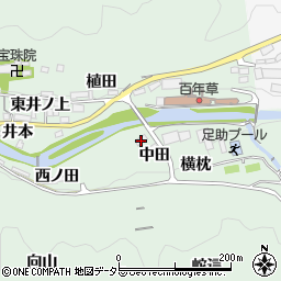 愛知県豊田市足助町中田周辺の地図