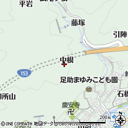 愛知県豊田市足助町中根周辺の地図