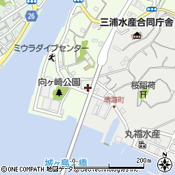 神奈川県三浦市向ヶ崎町9-15周辺の地図