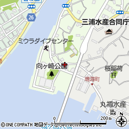 神奈川県三浦市向ヶ崎町9周辺の地図