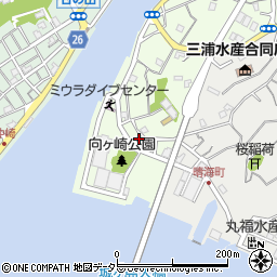 神奈川県三浦市向ヶ崎町9-6周辺の地図