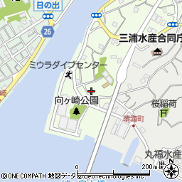 神奈川県三浦市向ヶ崎町10-8周辺の地図