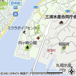 神奈川県三浦市向ヶ崎町10周辺の地図
