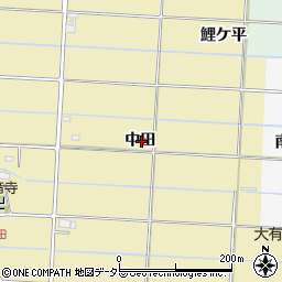 愛知県愛西市立田町中田周辺の地図