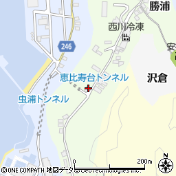 千葉県勝浦市勝浦219周辺の地図