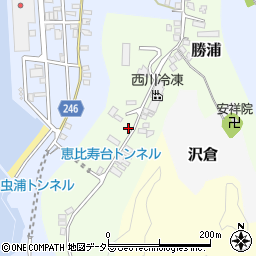 千葉県勝浦市勝浦217周辺の地図
