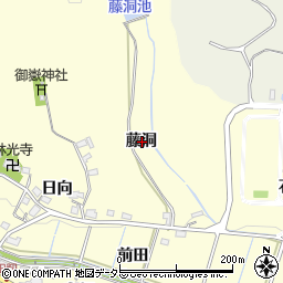 愛知県豊田市田籾町藤洞周辺の地図
