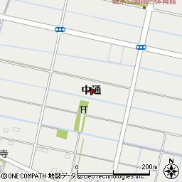 愛知県愛西市落合町中通周辺の地図