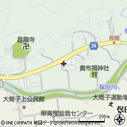 千葉県安房郡鋸南町保田2005周辺の地図