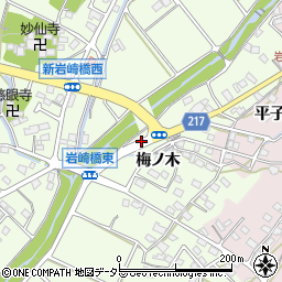 岩崎橋周辺の地図