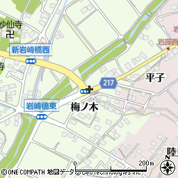 岩崎橋東周辺の地図