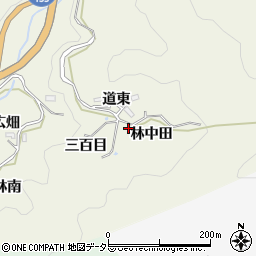 愛知県豊田市富岡町（林中田）周辺の地図