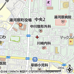 有限会社大沢商社周辺の地図