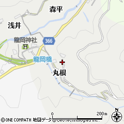 愛知県豊田市竜岡町周辺の地図