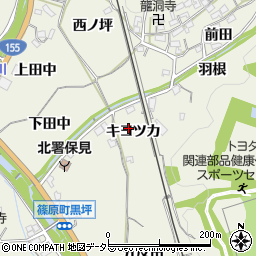 愛知県豊田市篠原町キヨツカ周辺の地図